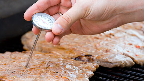 Photo of a person checking temperature of meat