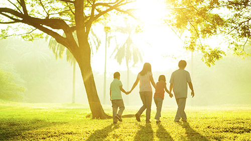 Photo of family holding hands walking through a park
