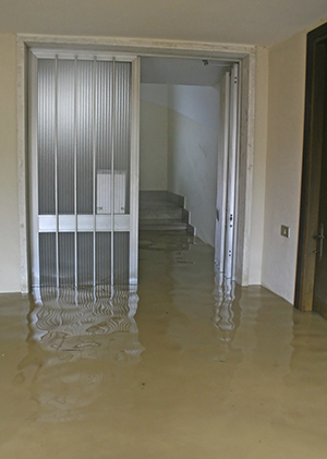 A picture of a flooded basement