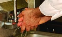 A person wetting their hands under the tap.