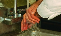 A person rinsing their hands under the tap.