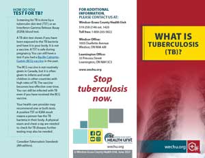 Cover of Tuberculosis flyer