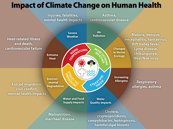 Infographic depicting health effects of climate change