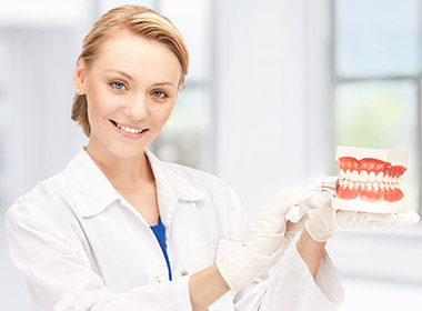Dentist with toothbrush and jaws