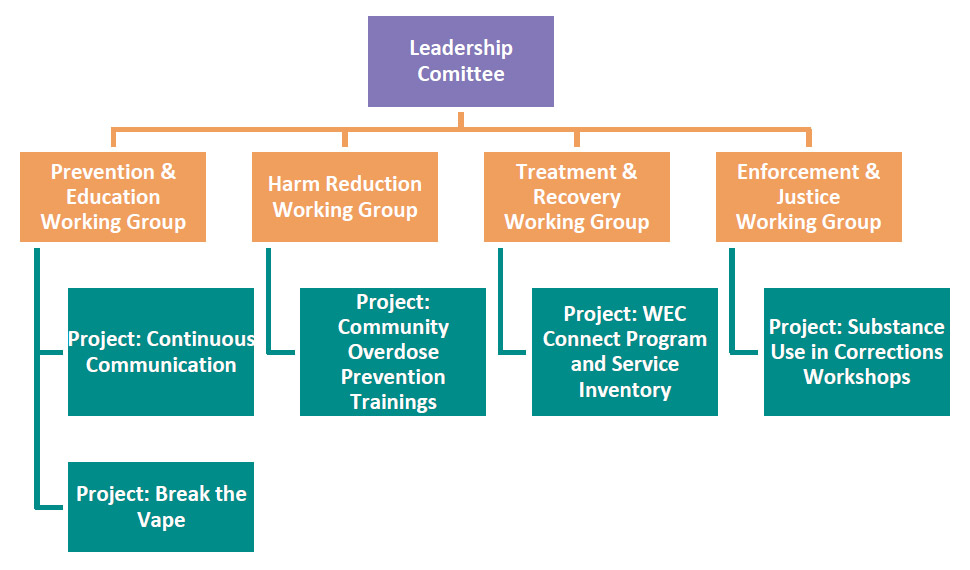 WECOSS Strategy implementation graphic