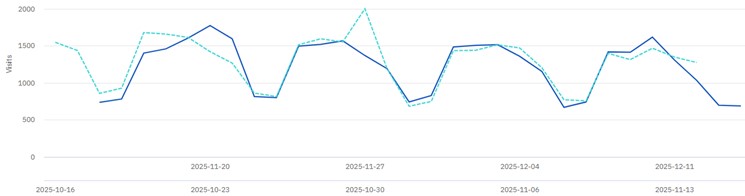 Website overview for November to December 2025