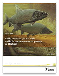 Cover image of "Guide to Eating Ontario Fish"